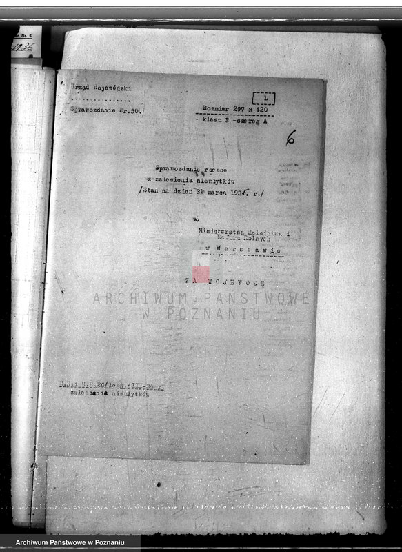 Obraz 11 z jednostki "Zalesienie nieużytków w powiecie kolskim"