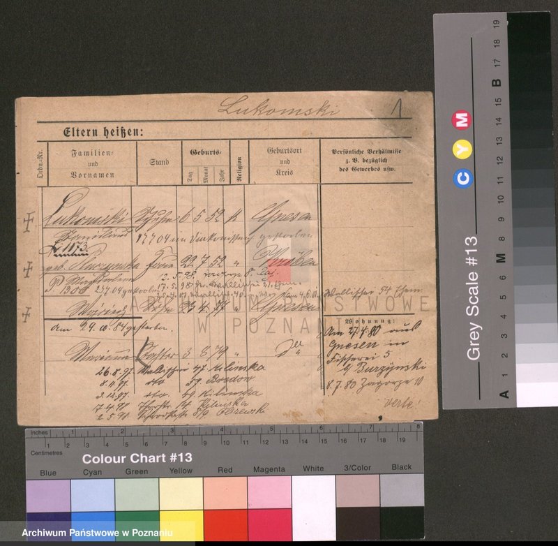 Obraz 1 z jednostki "Luke - Lulka"