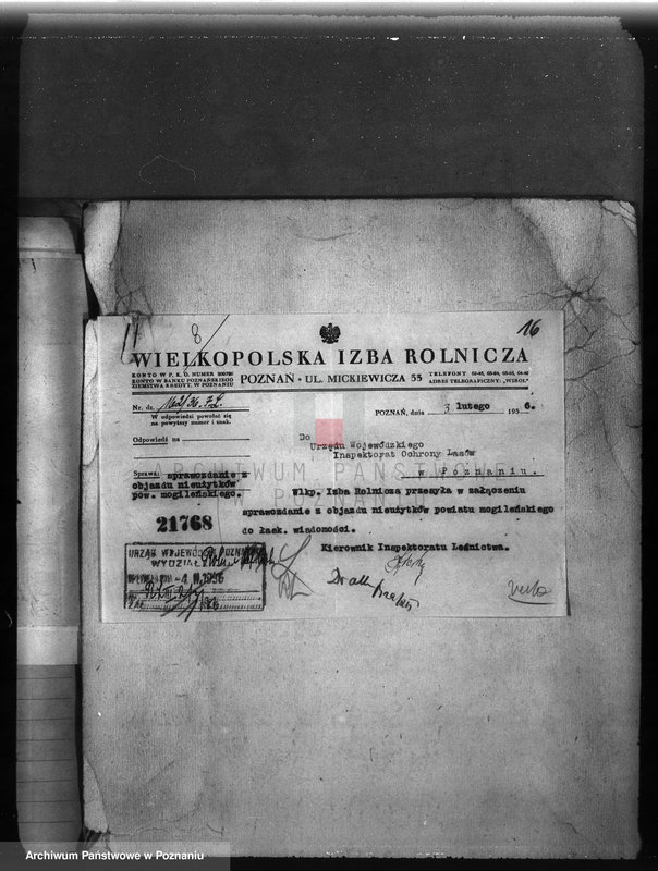 Obraz 20 z jednostki "Zalesienie nieużytków w powiecie mogileńskim"