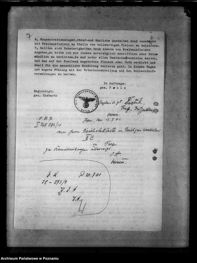 Obraz 11 z jednostki "Freibankfleisch. Notschlachtungen"