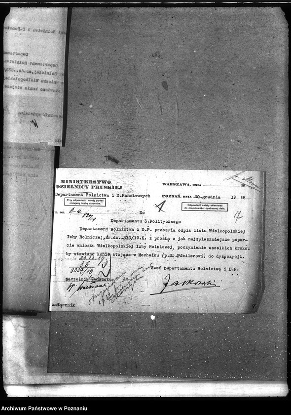 Obraz 11 z jednostki "Instytut Higieny Zwierząt w Bydgoszczy"