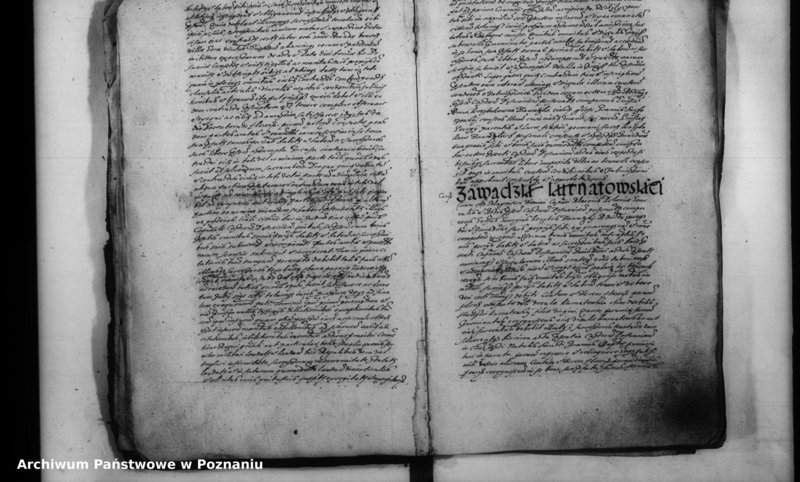 Obraz 12 z jednostki "Inscriptiones [inducta]"