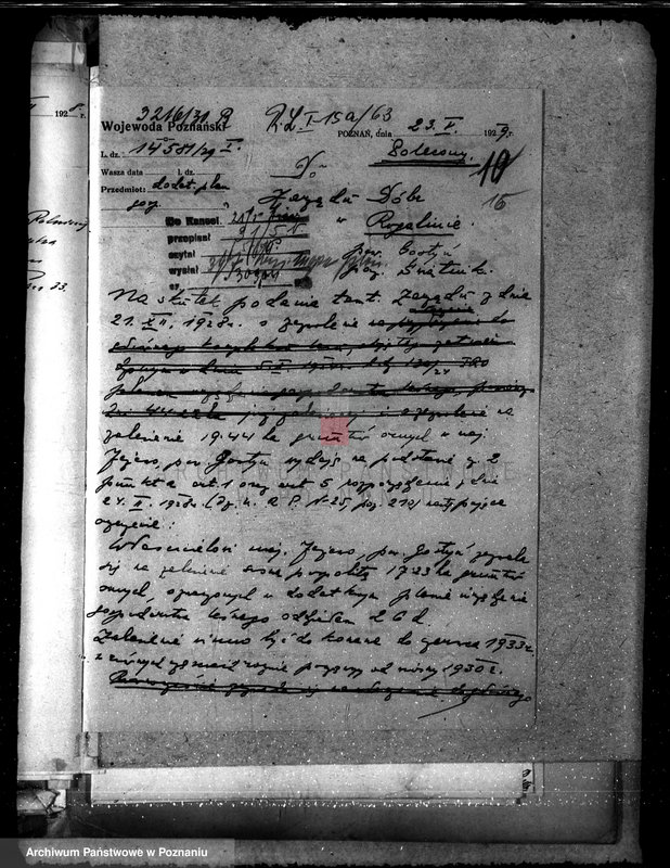 Obraz 20 z jednostki "Majętność leśna Jeżewo w powiecie gostyńskim"