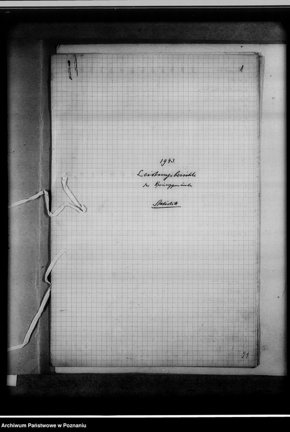 Obraz 5 z jednostki "Leistungsberichte der Kreissippenämter. Statistik"