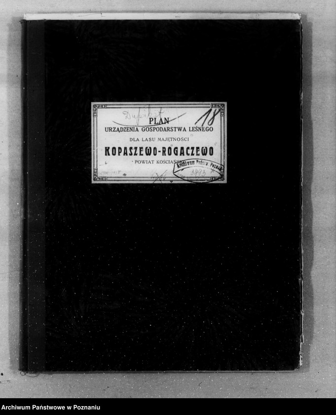 Obraz 4 z jednostki "Plan urządzania gospodarstwa leśnego dla lasu majętności Kopaczewo- Rogaczewo powiat kościański"