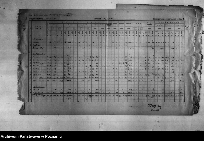 Obraz 8 z jednostki "/Statystyka produkcji rolnej - zestawienie zbiorów z 1930 r. z terenu powiatu kępińskiego/"