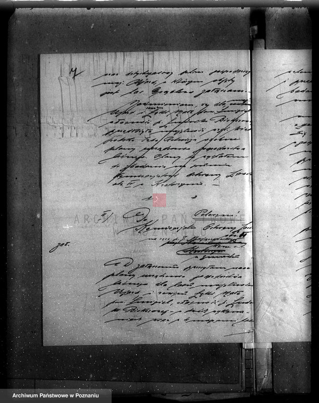 Obraz 11 z jednostki "Nadzór nad gospodarką w lasach majątku Ujazd powiat kościański"