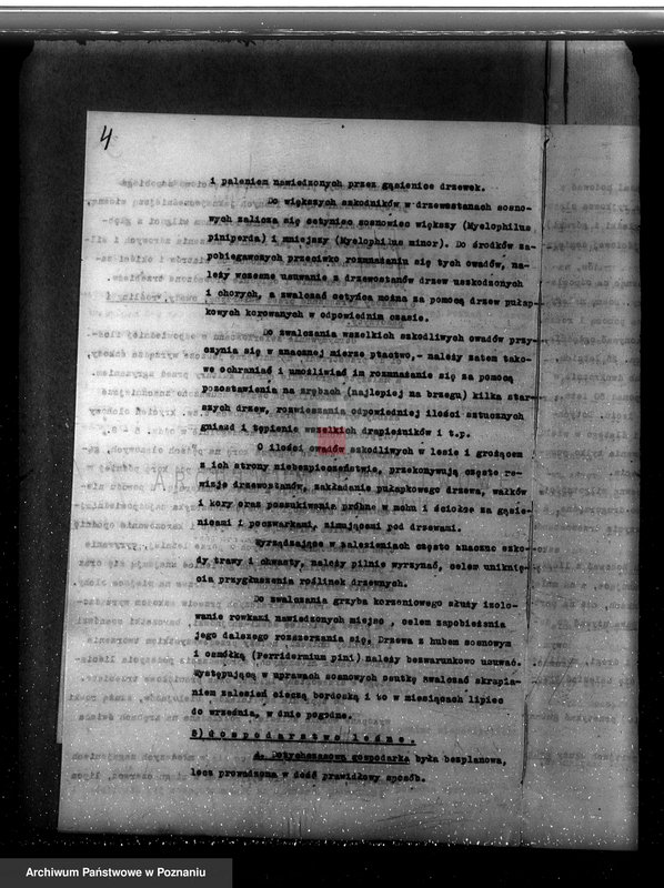 Obraz 8 z jednostki "Plan urządzania gospodarstwa leśnego dla lasu majętności Gorzyczki powiat kościański"