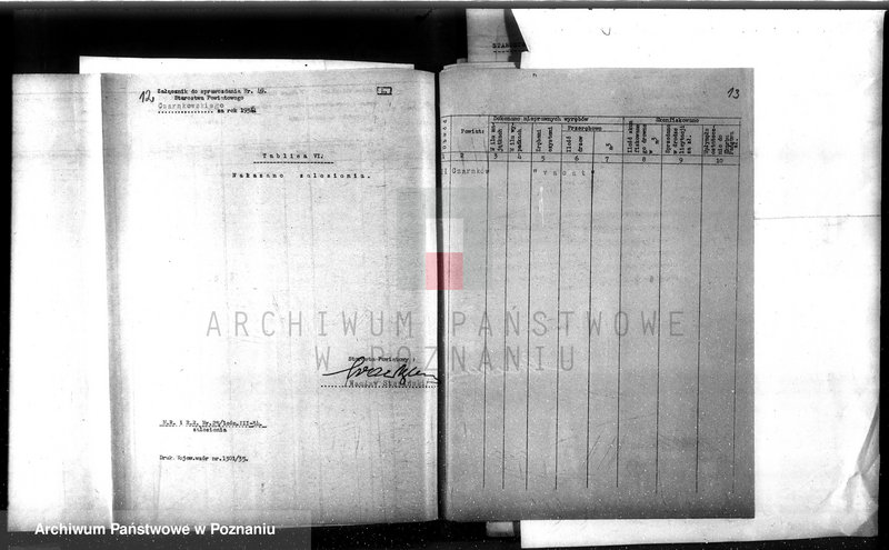 Obraz 17 z jednostki "Sprawozdanie roczne za 1935 rok /komisarzy ochrony lasów/"