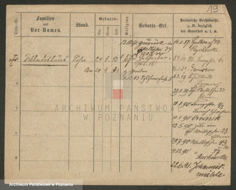 Obraz 19 z jednostki "Paprzycki - Pasiak"