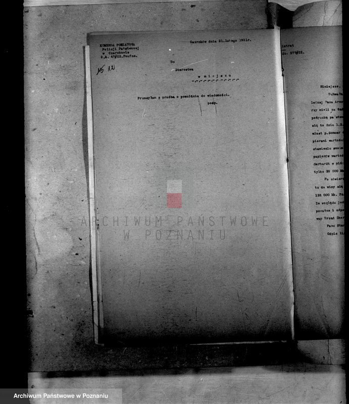 Obraz 18 z jednostki "Administracja miasta Wielenia"