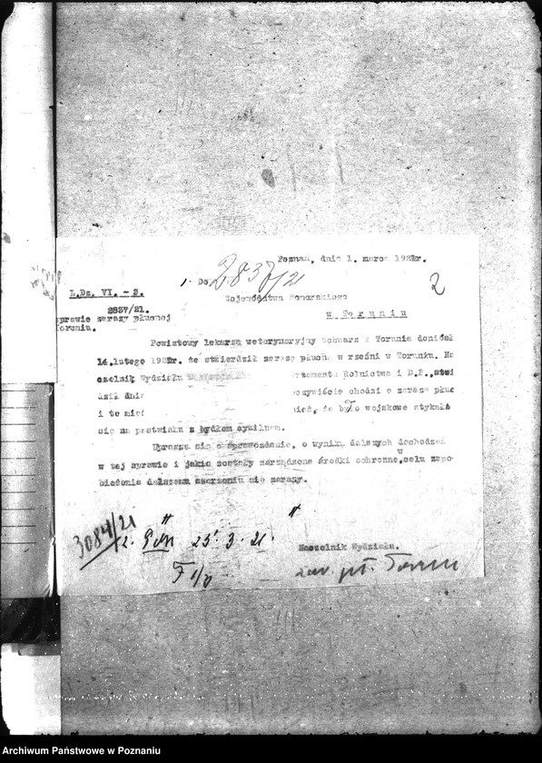 Obraz 6 z jednostki "Sprawy szczegółowo-Zaraza płucna - Toruń"