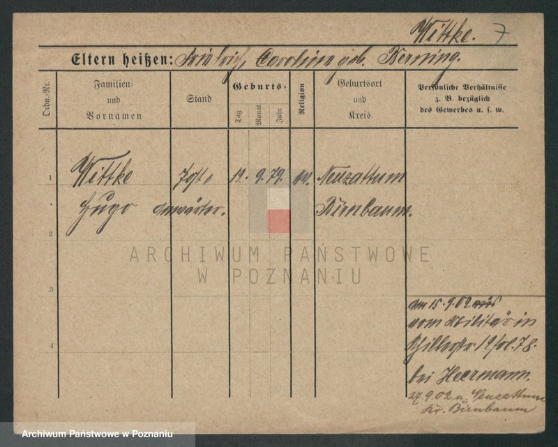 image.from.unit.number "Witke - Witkowski (żonaci, wdowy)"