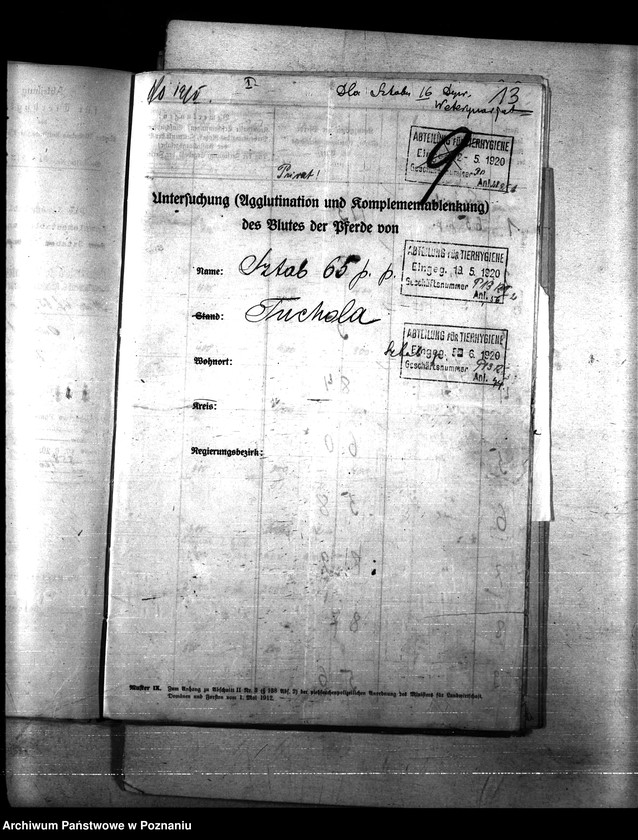 Obraz 17 z jednostki "Nosacizna - Tuchola"