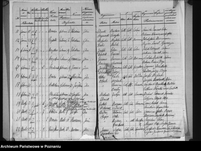 image.from.unit.number "Liber baptisatorum"