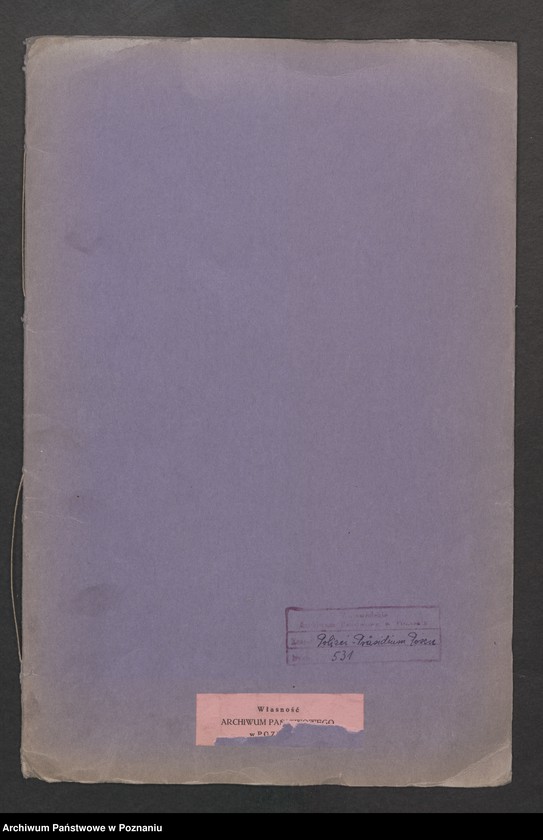 Obraz 2 z jednostki "Ausfälle und Verdächtigungen im Polenprozess gegen die Polizeibehörden"