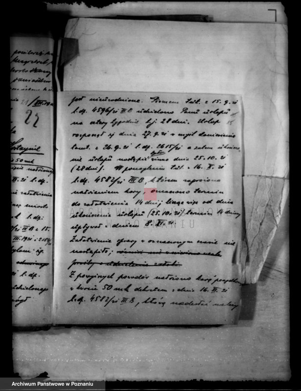 Obraz 19 z jednostki "Administracja miasta Kostrzyna"