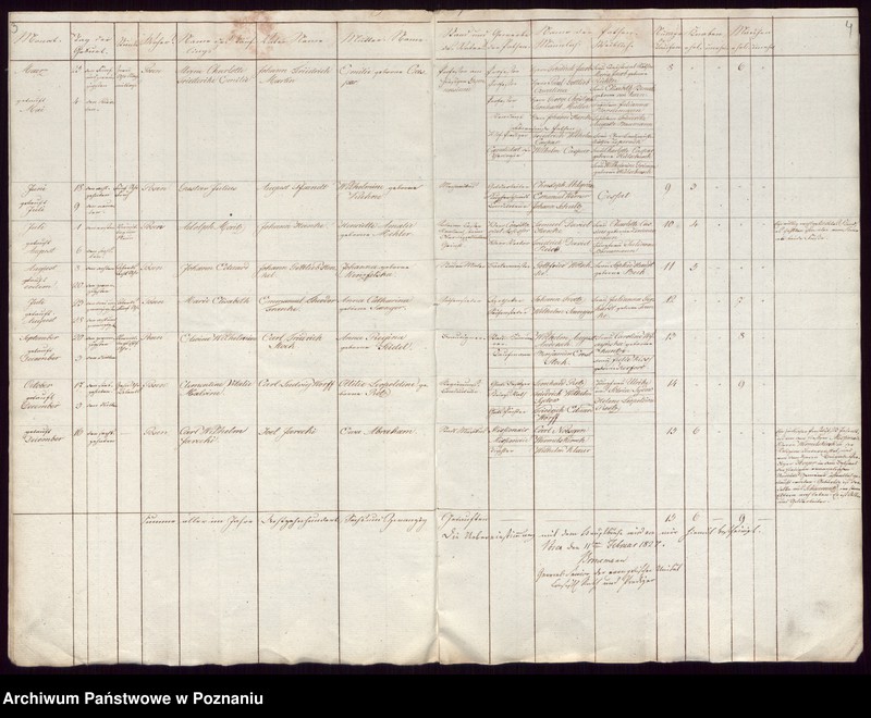 Obraz z jednostki "Duplikat der Getrauten, Getauften, Verstorbenen"