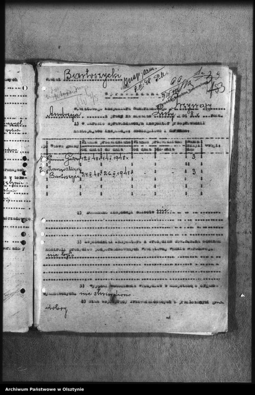 image.from.unit.number "Sprawozdania miesięczne pow. insp. samorządowych i plany pracy"