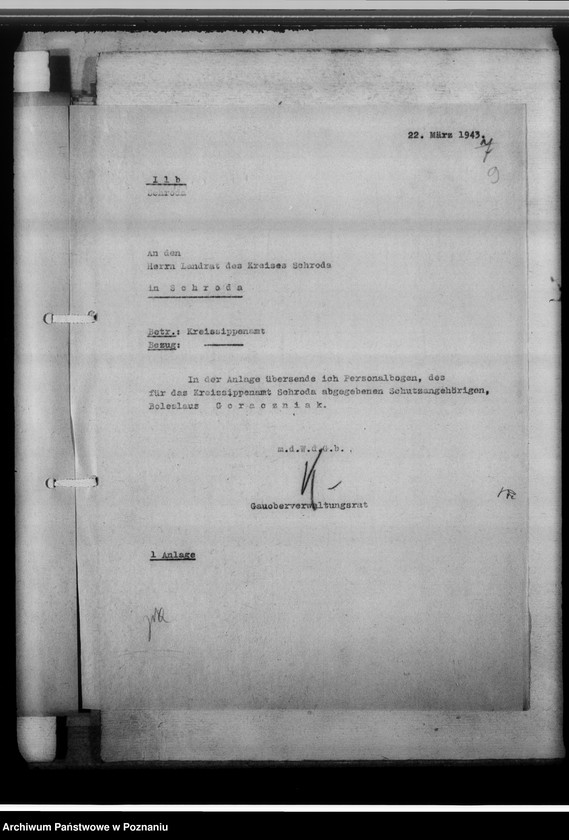 Obraz 13 z jednostki "[Korespondencja w sprawach organizacyjnych, sprawozdanie z działalności], Kreissippenamt Schroda [Środa]"