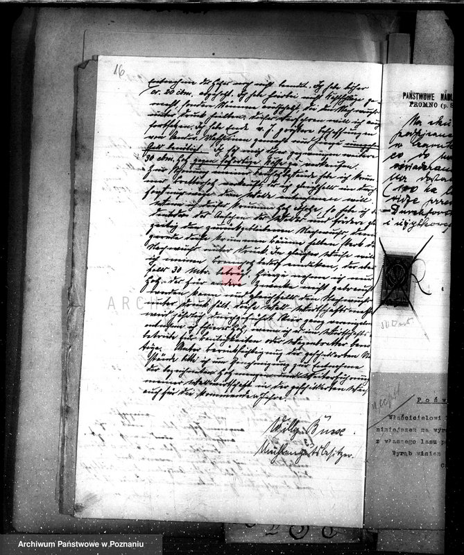 Obraz 20 z jednostki "Nadzór nad gospodarką w lasach majątku Osuch /Z. Busse/ w powiecie czarnkowskim"