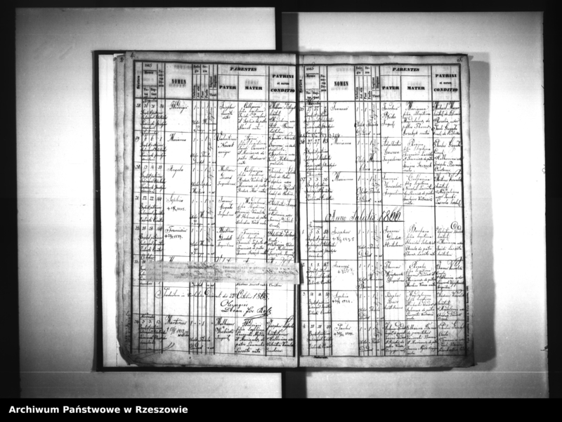 image.from.unit.number "Księga urodzeń - Siedliska"