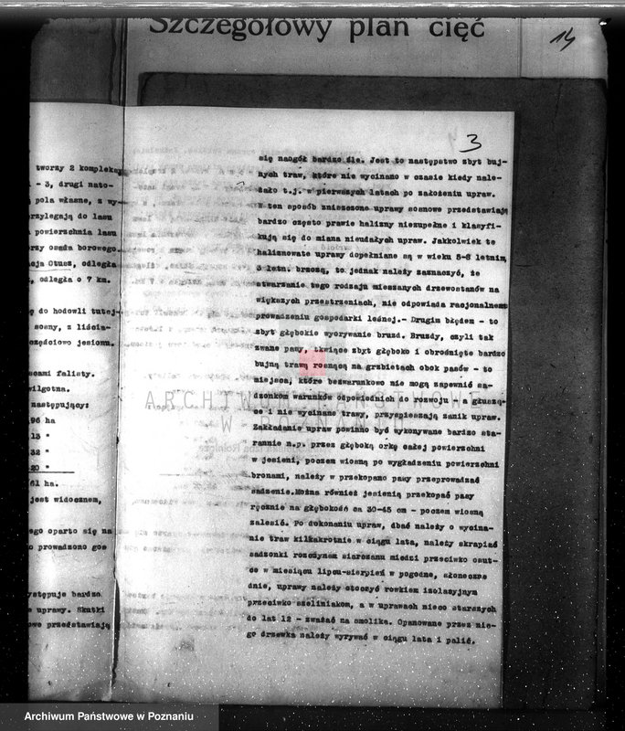 Obraz 7 z jednostki "Plan urządzenia gospodarstwa leśnego dla lasu majętności Brzoza powiat szamotulski 1929-1939"