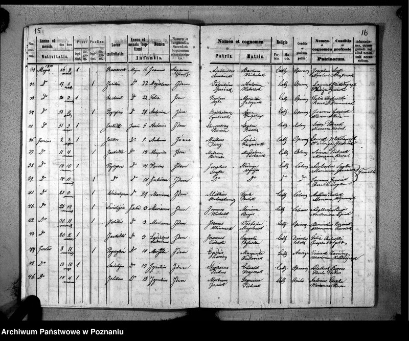 image.from.unit.number "Duplikaty urodzeń, małżeństw i zmarłych"