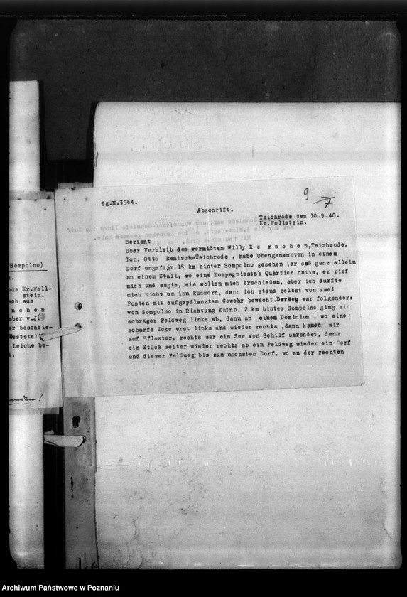 Obraz 13 z jednostki "Willi Kernchen aus Teichrode, Kreis Wollstein (Wolsztyn)"