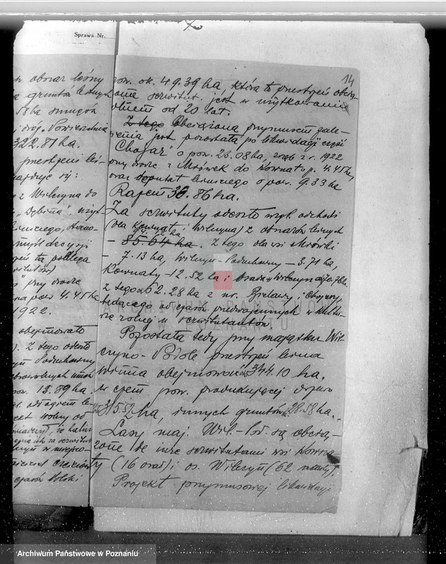 Obraz 19 z jednostki "Ustalenie powierzchni leśnej majątku Wilczyno-Podole powiat słupecki oraz nieprawne wyręby lasu"