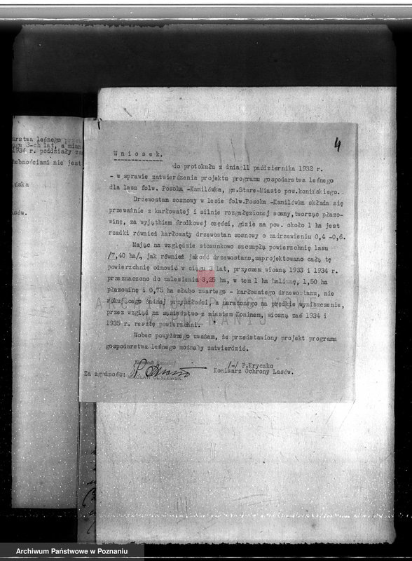 Obraz 8 z jednostki "Majątek Staremiasto powiat koniński /nadzór nad gospodarką leśną/"