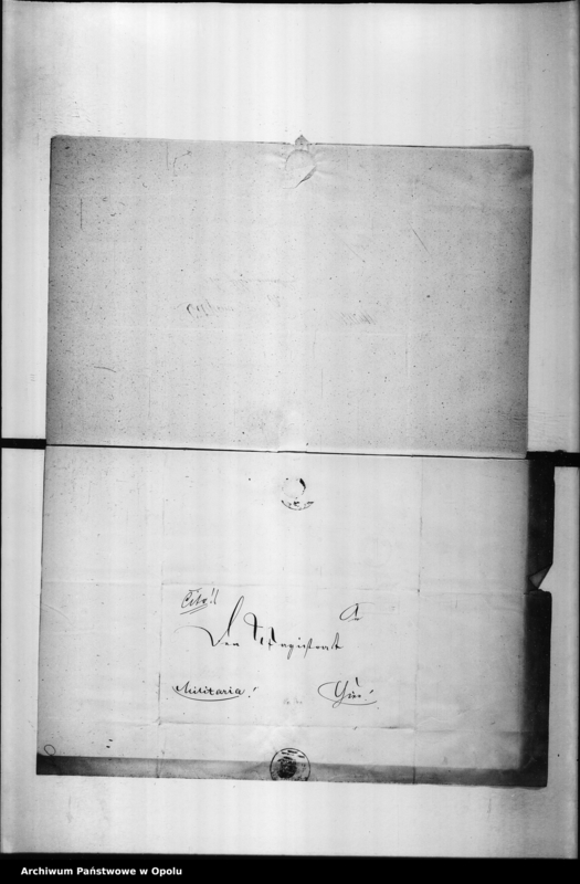 Obraz 20 z jednostki "Acta des Magistrats zu Oppeln betreffend Polizei - Verwaltung.Vol II"