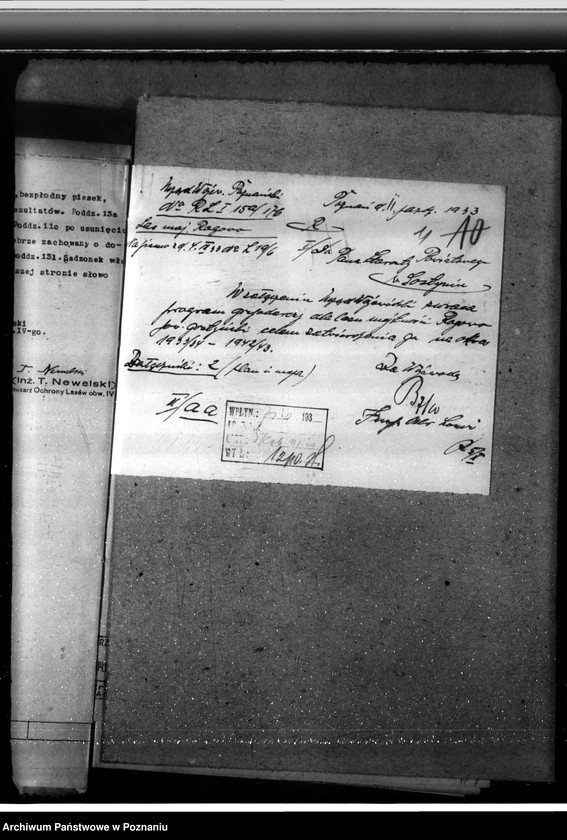 Obraz 15 z jednostki "Nadzór nad gospodarką w lasach majętności Rogowo w powiecie gostyńskim"