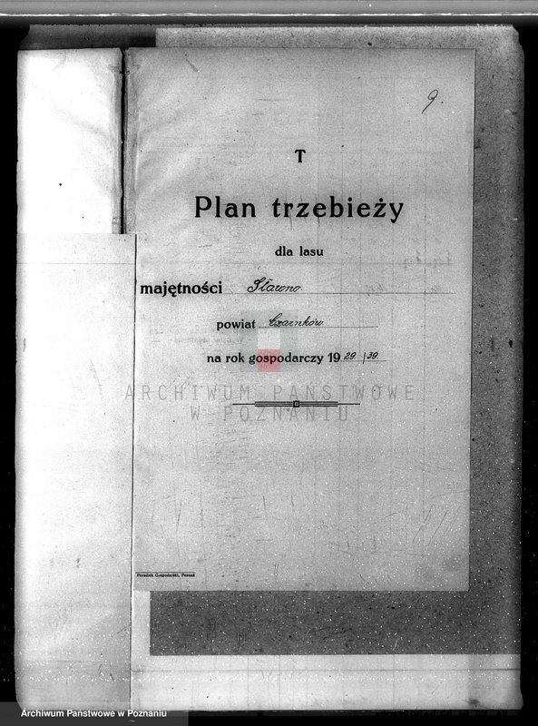 Obraz 14 z jednostki "Nadzór nad gospodarką leśną majątku Sławno powiat czarnkowskim"