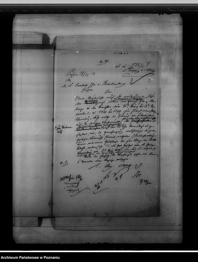 Obraz 11 z jednostki "Ordynacja targowa miasta Stęszewa"