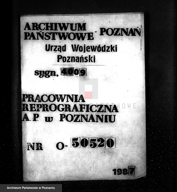 Obraz 1 z jednostki "Majętność leśna Kiełpiny powiat wolsztyński"