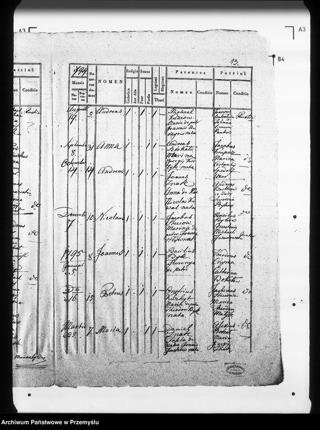 Obraz 17 z jednostki "[Kopie ksiąg metrykalnych parafii Manasterzec z filiami Mosty, Terszaków (dekanat Komarno)]"
