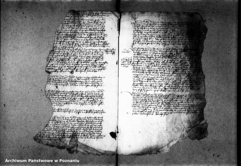 Obraz 14 z jednostki "Inscriptiones, relationes, decreta [protocollon]"