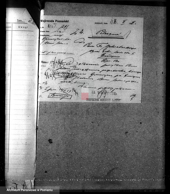 Obraz 5 z jednostki "Nadzór nad gospodarką w lasach majątku Czerniejewo powiecie gnieźnieńskim"