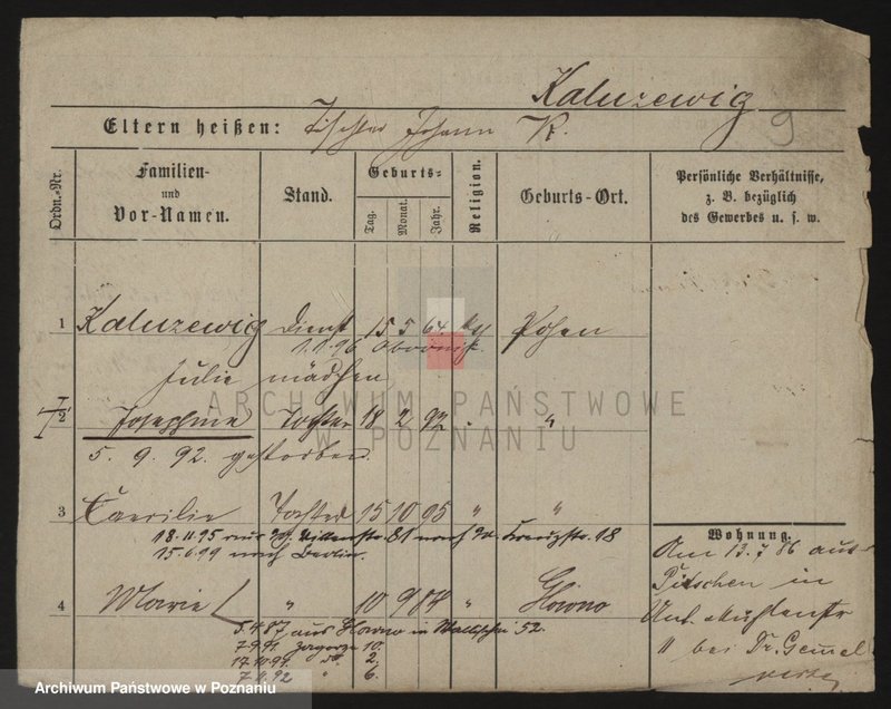 Obraz 9 z jednostki "Kałużewicz - Kaminowski"