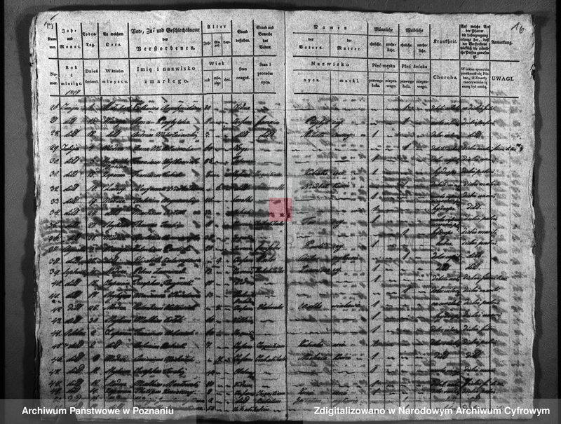 image.from.unit.number "Duplicatus baptisatorum, copulatorum, mortuorum"
