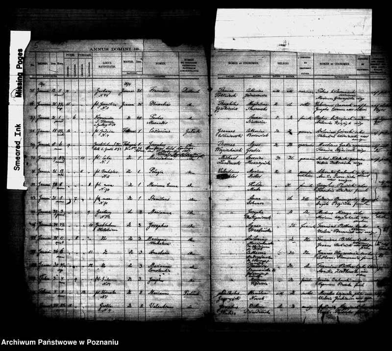 Obraz 4 z jednostki "Księga urodzin"