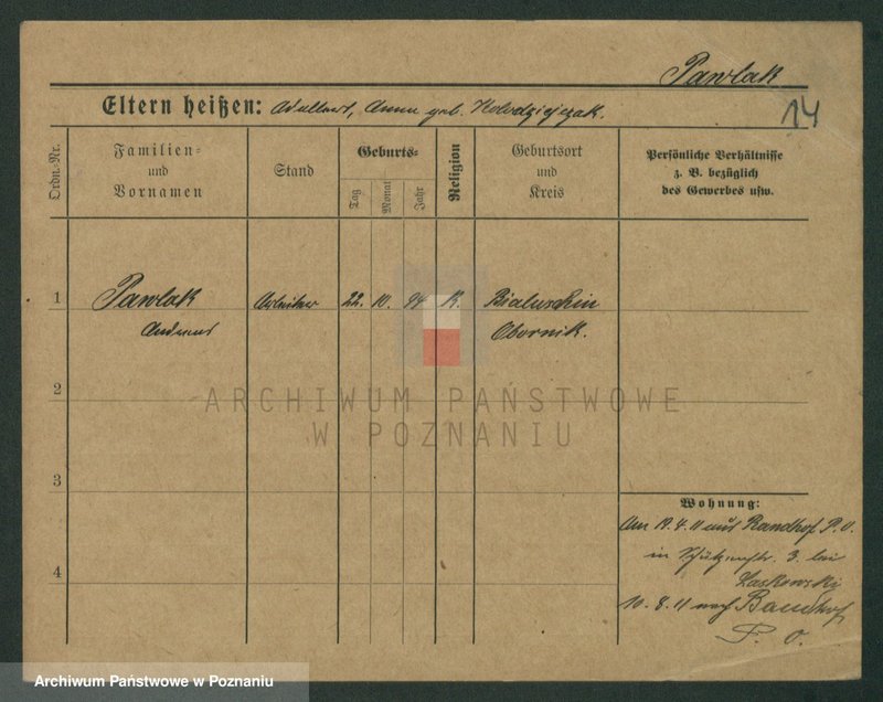 Obraz 16 z jednostki "Pawlak (samotni mężczyźni i kobiety)"