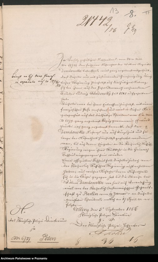 Obraz 17 z jednostki "A. betr. Personalia der Witwe Angelica von Dembowska und ihre Söhne Czeslaw und Eduard"