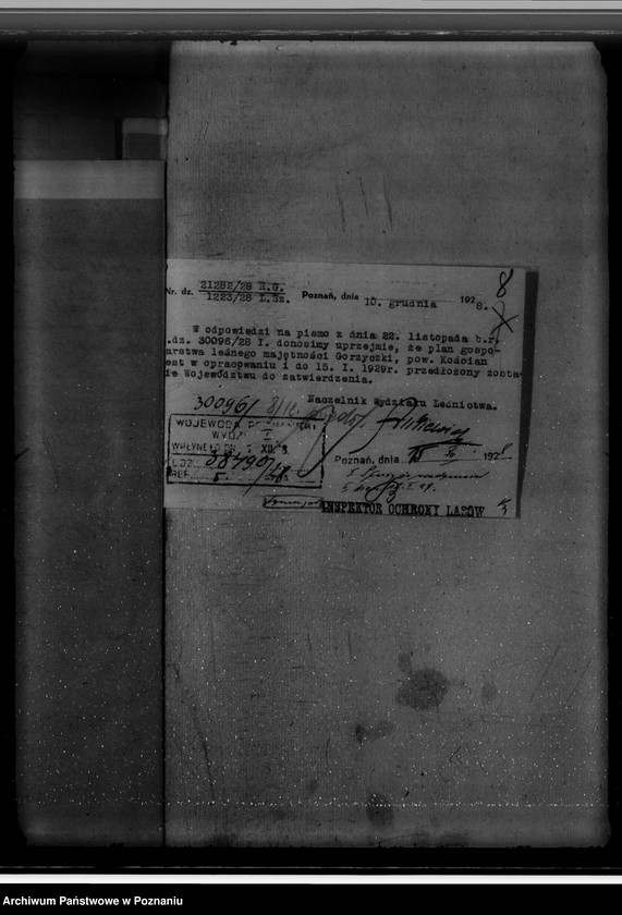 Obraz 12 z jednostki "Majętność /leśna/ Gorzycziki powiat kościański"