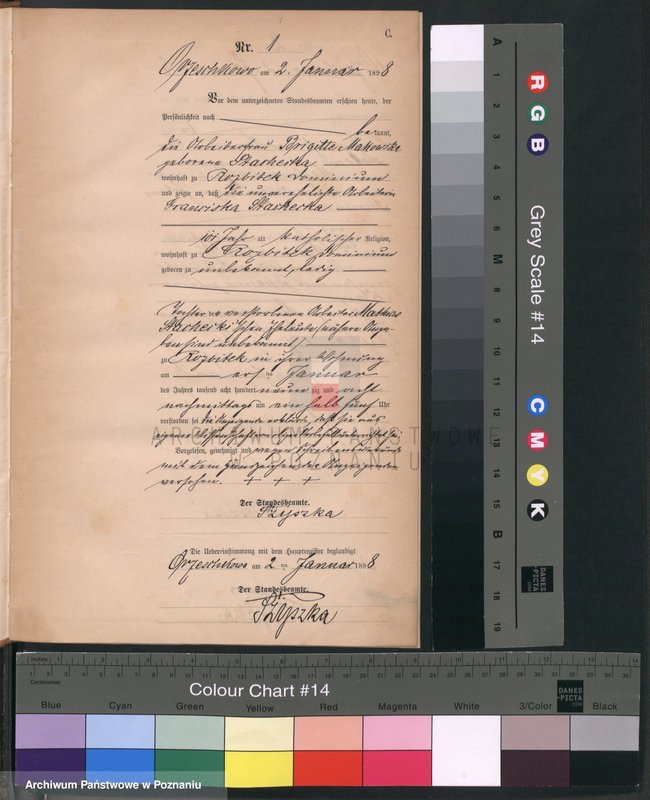 Obraz 4 z jednostki "Księga zgonów"