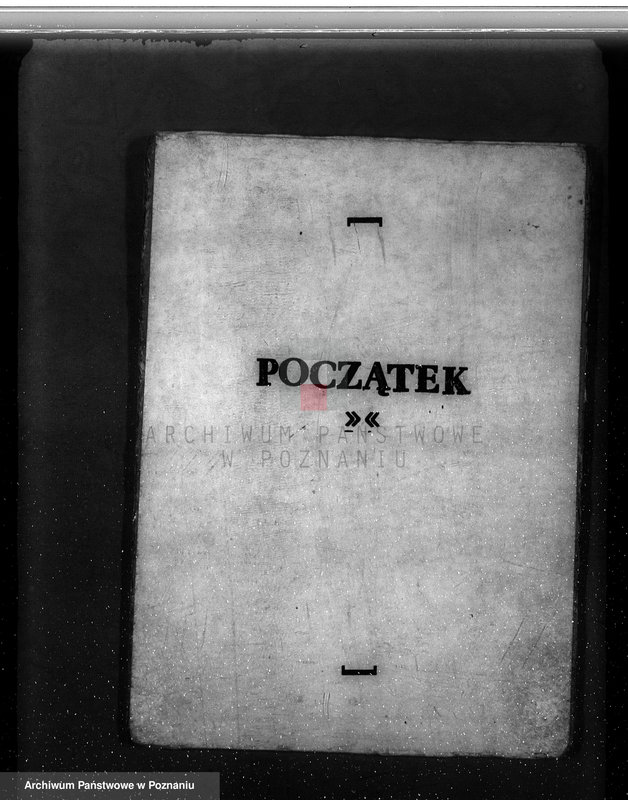 Obraz 3 z jednostki "Gmina Rzgów powiat koniński /nadzór nad gospodarką leśną/"