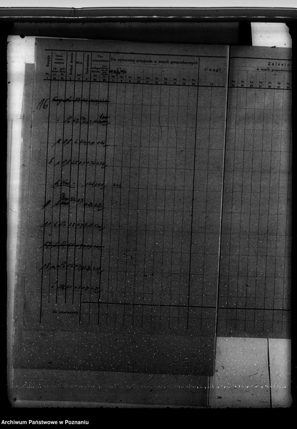 Obraz 20 z jednostki "Program urządzenia gospodarstwa leśnego dla lasu majętności Kobylepole powiat poznański 1929-1939"
