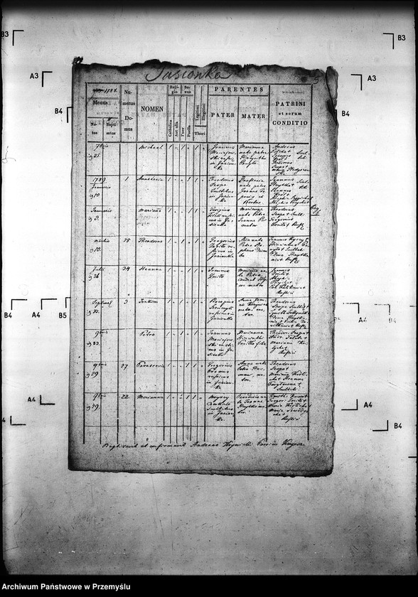 Obraz 9 z jednostki "[Kopie ksiąg metrykalnych parafii Krzywa z filiami Jasionka, Wołowiec (dekanat Gorlice)]"