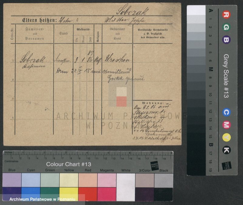 Obraz 5 z jednostki "Sobczyk - Sobierajski"
